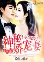 夺心总裁辣妻狂傲如火全文免费阅读