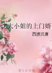 沈大小姐的上门婿 西渡汉唐