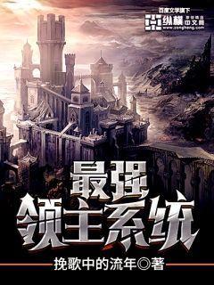 最强领主系统 夜南听风