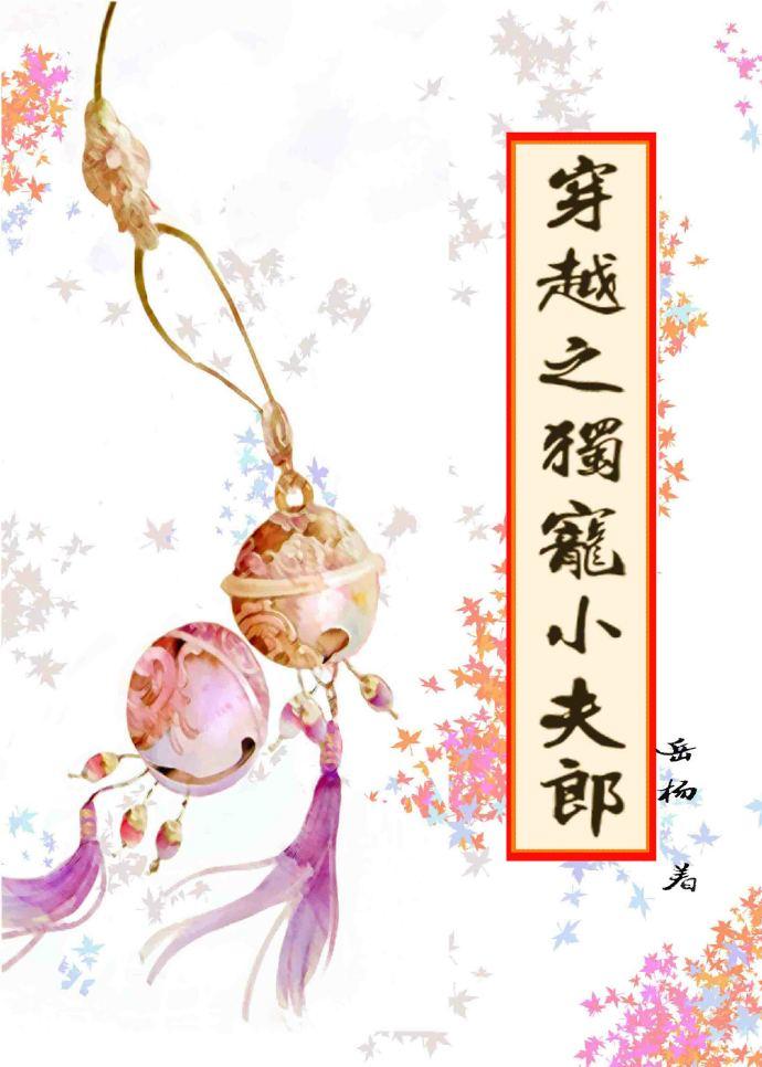 穿越之独宠小夫郎by岳杨