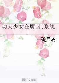 功夫少女在腐国系统