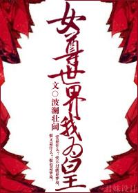 女尊世界的男人们作者鹊山落花