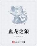 盘龙之传奇