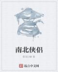 南北双侠