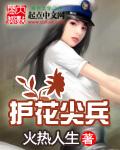 护花剑改