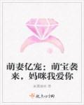 妈咪太嚣张全文免费阅读