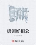 唐朝好相公简介