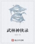 武林奇侠录
