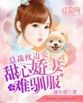 总裁枕边的替嫁新娘霸道