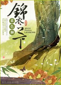 锦衣之下电视剧全集在线观看