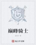 巅峰骑士团晶片哪里有