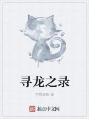 寻龙记全集