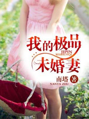 我的极品未婚妻林夏免费阅读