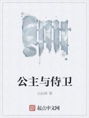 公主与侍卫的爱情故事电视剧