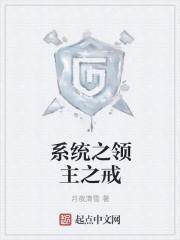 好看的领主系统类