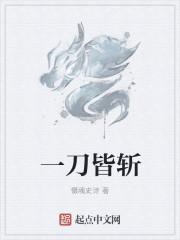 一刀斩斩斩新书