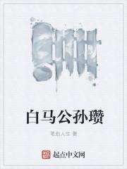 白马公孙瓒外传攻略