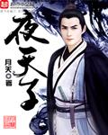 夜天子结局是什么看不懂