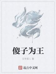 傻子王妃txt