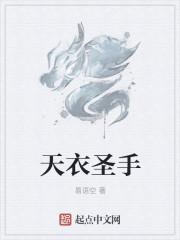 天衣圣手后续