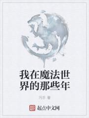 我在魔法世界开放互联网