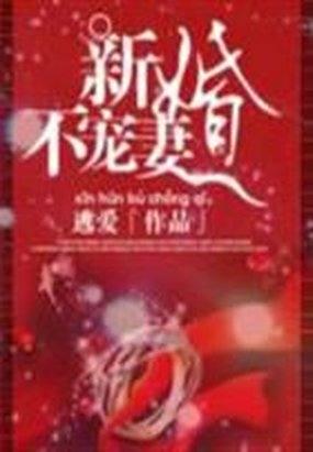 新婚不得宠txt书包网