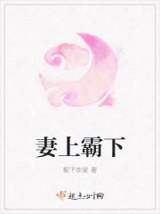 从妻免费阅读全集