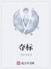 夺标鸽舍宗绍伟的鸽子