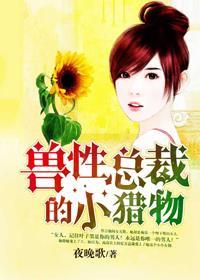 兽性总裁