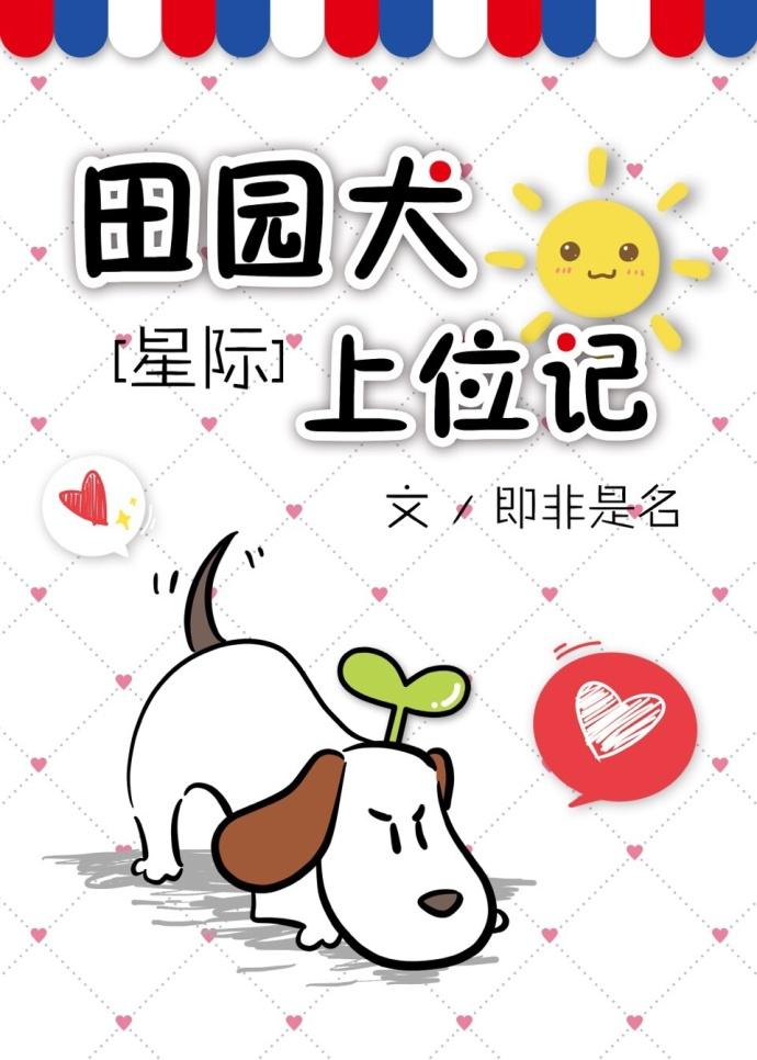 田园犬介绍