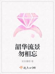 韶华流转意思
