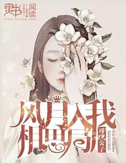 风月入我相思局免费阅读