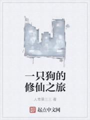 一只狗的旅途
