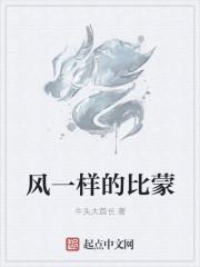 一样的风一样的雨是什么歌