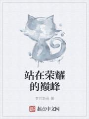 站在巅峰上歌词