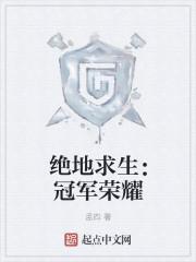 绝地求生 世界冠军