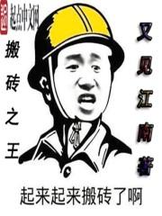 搬砖之王内购版