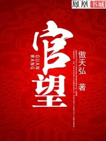 权力官运有声