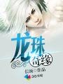 龙珠传奇片段视频