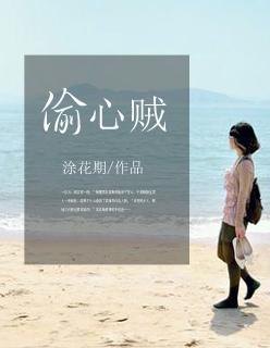 偷心贼韩国电影完整版免费