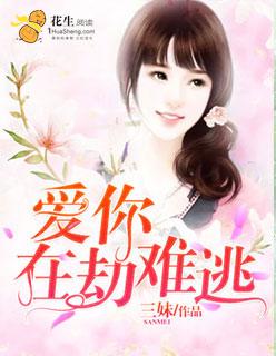 爱你在劫难逃林小兰老王