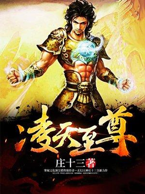 凌天至尊叶风结局