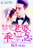 纵妻无度老婆乖一点全文免费阅读