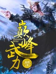 巅峰战力极限图