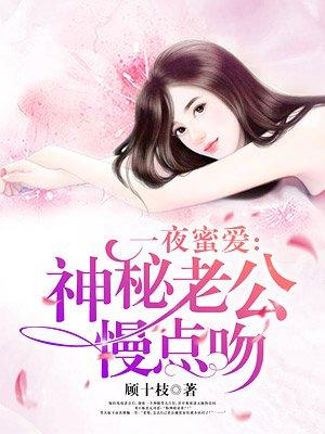 一夜蜜宠神秘老公宠入怀免费阅读正版