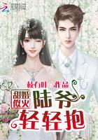 甜婚蜜令陆少的