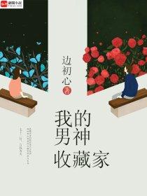 我的男神是收藏家