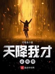 天降我材必有用讲的是什么故事