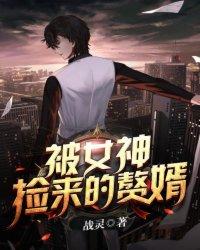 被女神拾来的赘婿