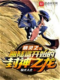 神奇宝贝之初始精灵圆陆鲨
